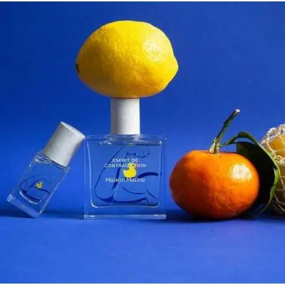 Esprit de Contradiction EdP, Maison Matine - Maison Matiné